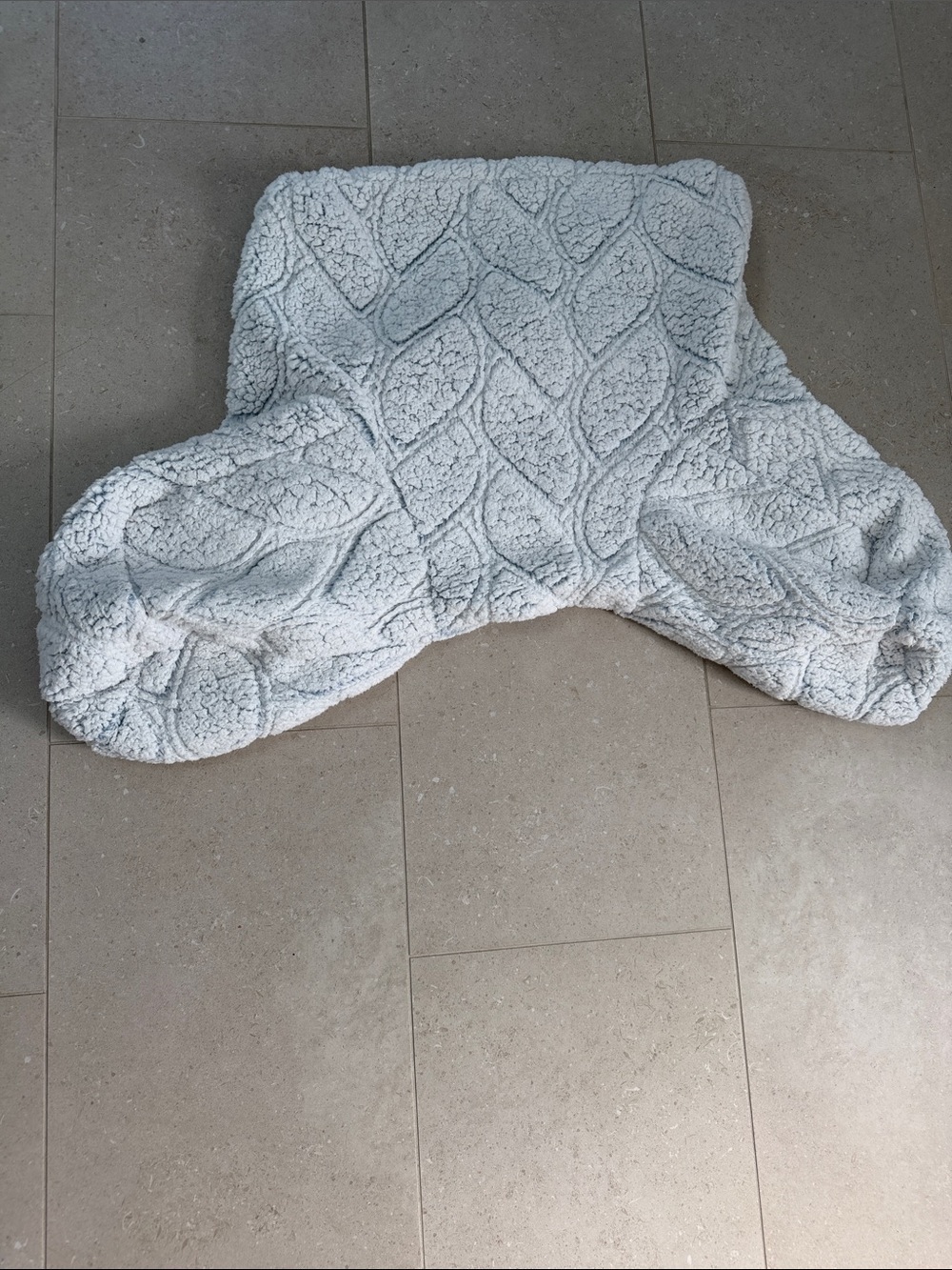 Pottery Barn Teen Light Blue Cozy Sherpa Backrest Pillow Cover